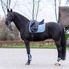 Zadeldek HV POLO HVPEssential Dressuur Lichtblauw