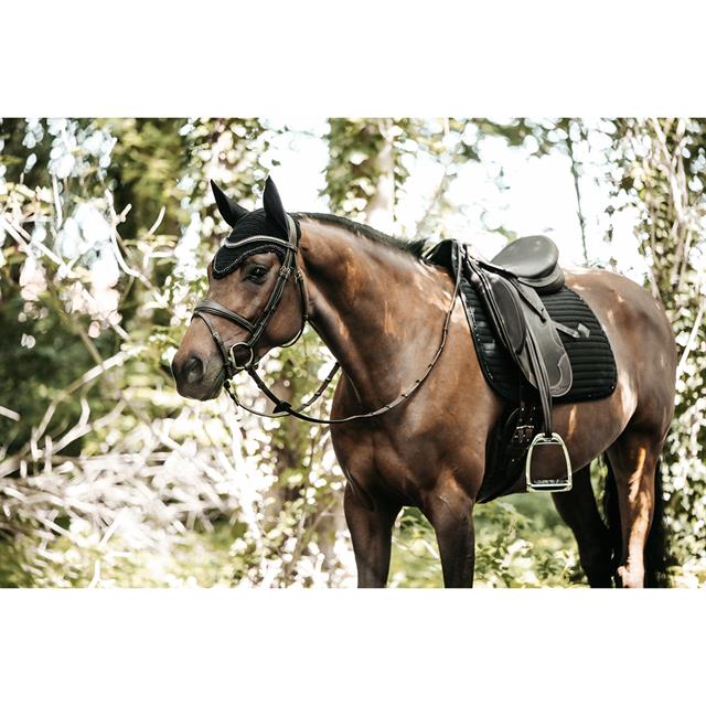 Zadeldek Kentucky Pearls Dressuur Zwart
