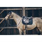 Zadeldek Kentucky Pearls Springen Zwart