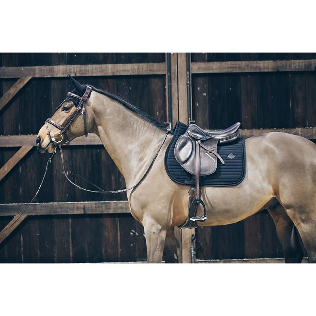 Zadeldek Kentucky Pearls Springen Zwart