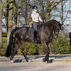 Zadeldek LeMieux Carbon Mesh Air Dressage Zwart