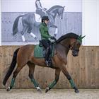 Zadeldek LeMieux Loire Classic Satin Ds Groen