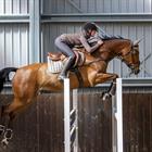 Zadeldek LeMieux Loire Close Contact Square Middenbruin
