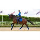 Zadeldek LeMieux Loire Square Dressage Blauw