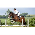 Zadeldek LeMieux Loire Square General Purpose Wit