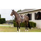 Zadeldek LeMieux Merino+ ProSorb Hunter Numnah Wit