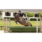 Zadeldek LeMieux Merino+ ProSorb Hunter Numnah Wit