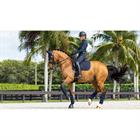 Zadeldek LeMieux Prosorb Plain 2 Pocket Dressuur Donkerblauw