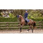 Zadeldek LeMieux Soft Shell Anti Slip Dressage Donkerblauw