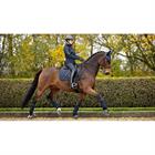 Zadeldek LeMieux Soft Shell Anti Slip Dressage Donkerblauw