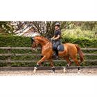Zadeldek LeMieux Soft Shell Anti Slip Dressage Zwart