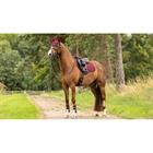 Zadeldek LeMieux Softshell Anti Slip Cc Square Donkerrood