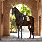 Zadeldek LeMieux Suède Dressage Square Lichtgeel