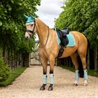 Zadeldek LeMieux Suède Dressage Square Turquoise