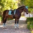 Zadeldek LeMieux Suède Dressage Square Turquoise
