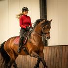 Zadeldek N BRANDS X Epplejeck Stella Dressuur Rood