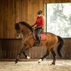 Zadeldek N BRANDS X Epplejeck Stella Dressuur Rood