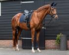 Zadeldek QHP Denver Donkerblauw