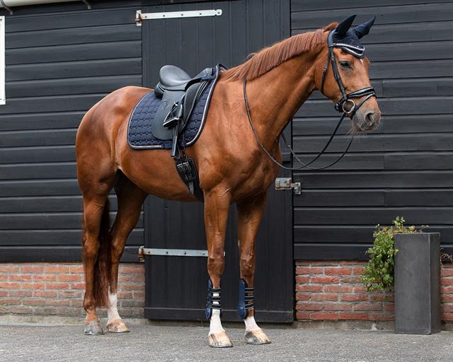 Zadeldek QHP Denver Donkerblauw