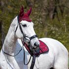 Zadeldek QHP Eldorado Donkerrood