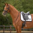 Zadeldek QHP Nummer Dressuur Wit-zwart