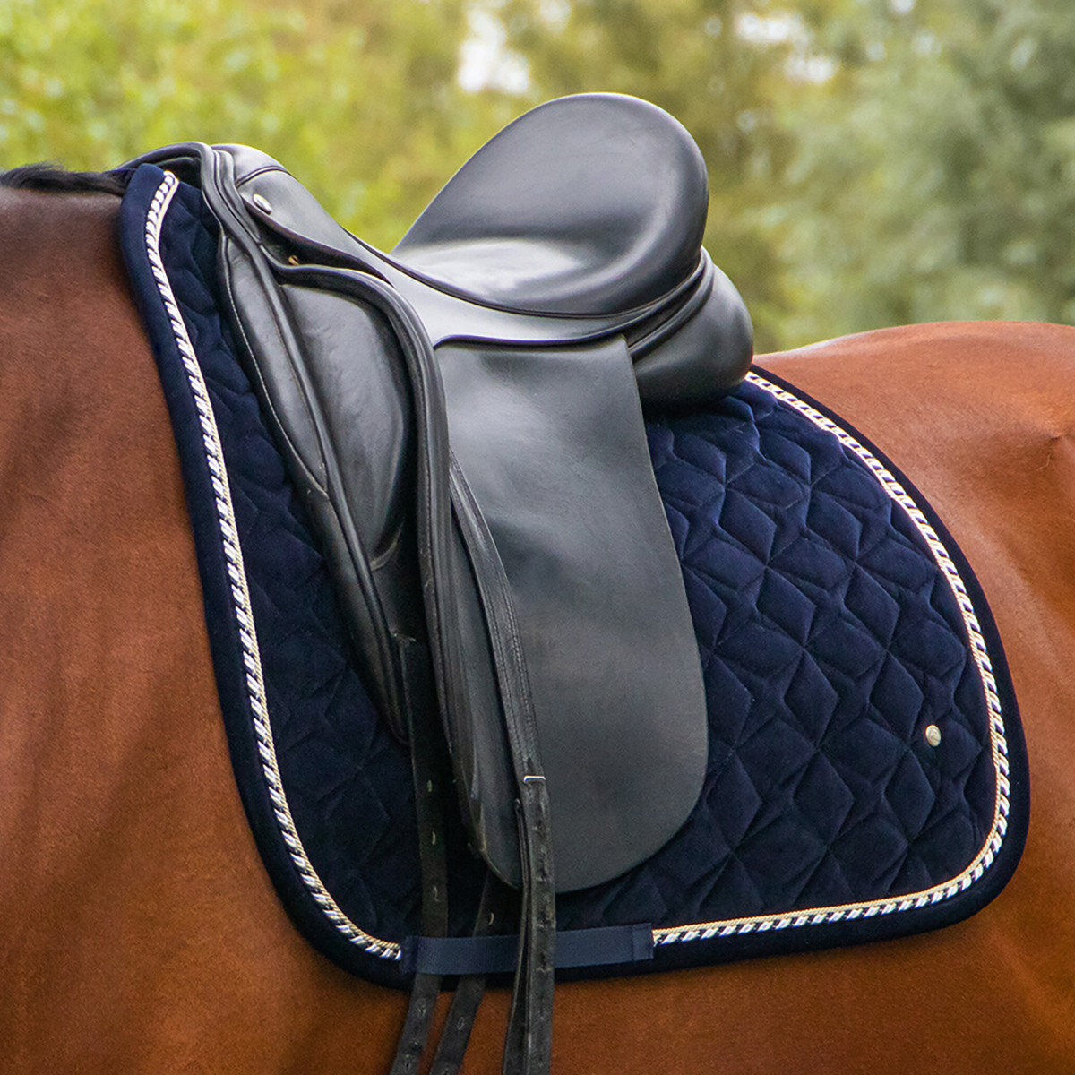 Zadeldek Qhp Orlando, Veelzijdigheid paard in donkerblauw