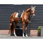 Zadeldek QHP Orlando Lichtbruin