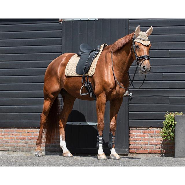 Zadeldek QHP Orlando Lichtbruin