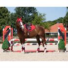 Zadeldek QHP Rio Rood