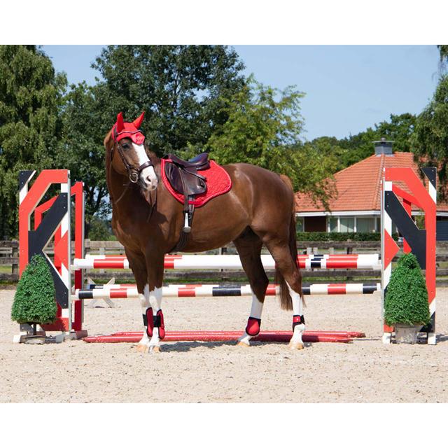 Zadeldek QHP Rio Rood