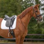 Zadeldek QHP Sparkle Dressuur Wit