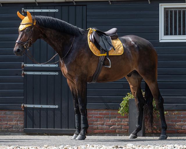 Zadeldek QHP Summer Glow Geel
