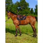 Zadeldek Tommy Hilfiger Stanford Jumping Donkerblauw