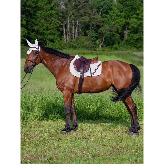 Zadeldek Tommy Hilfiger Stanford Jumping Wit