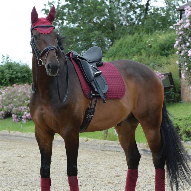 Zadeldek WeatherBeeta Prime Dressage Donkerrood