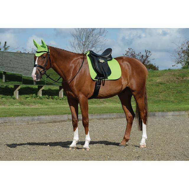 Zadeldek WeatherBeeta Prime Dressage Lichtgroen