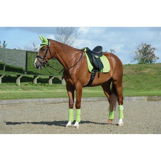 Zadeldek WeatherBeeta Prime Dressage Lichtgroen