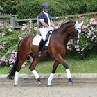 Zadeldek WeatherBeeta Prime Dressage Wit