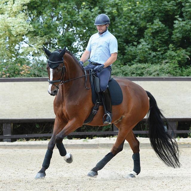 Zadeldek WeatherBeeta Prime Dressage Zwart