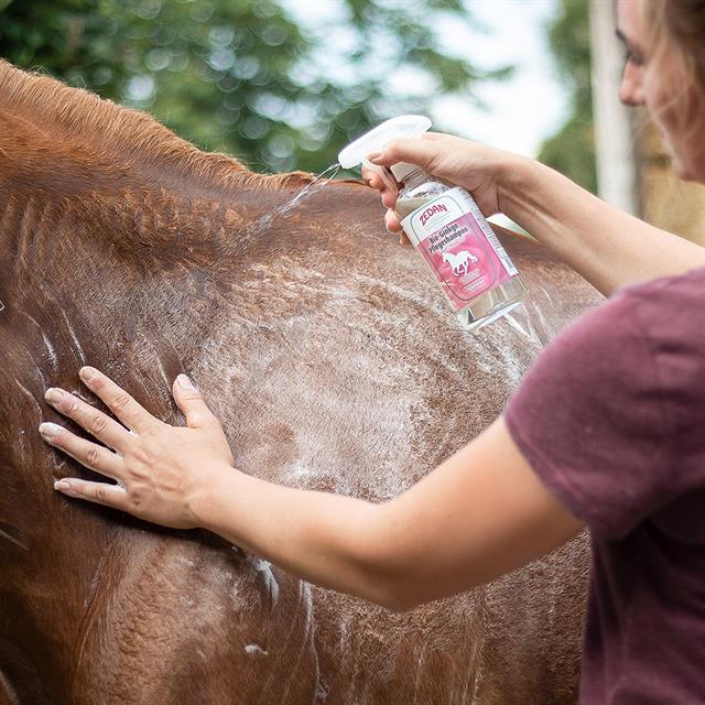 Zedan Bio Ginkgo Shampoo 