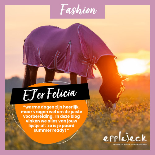Zomerchecklist voor jou en je paard