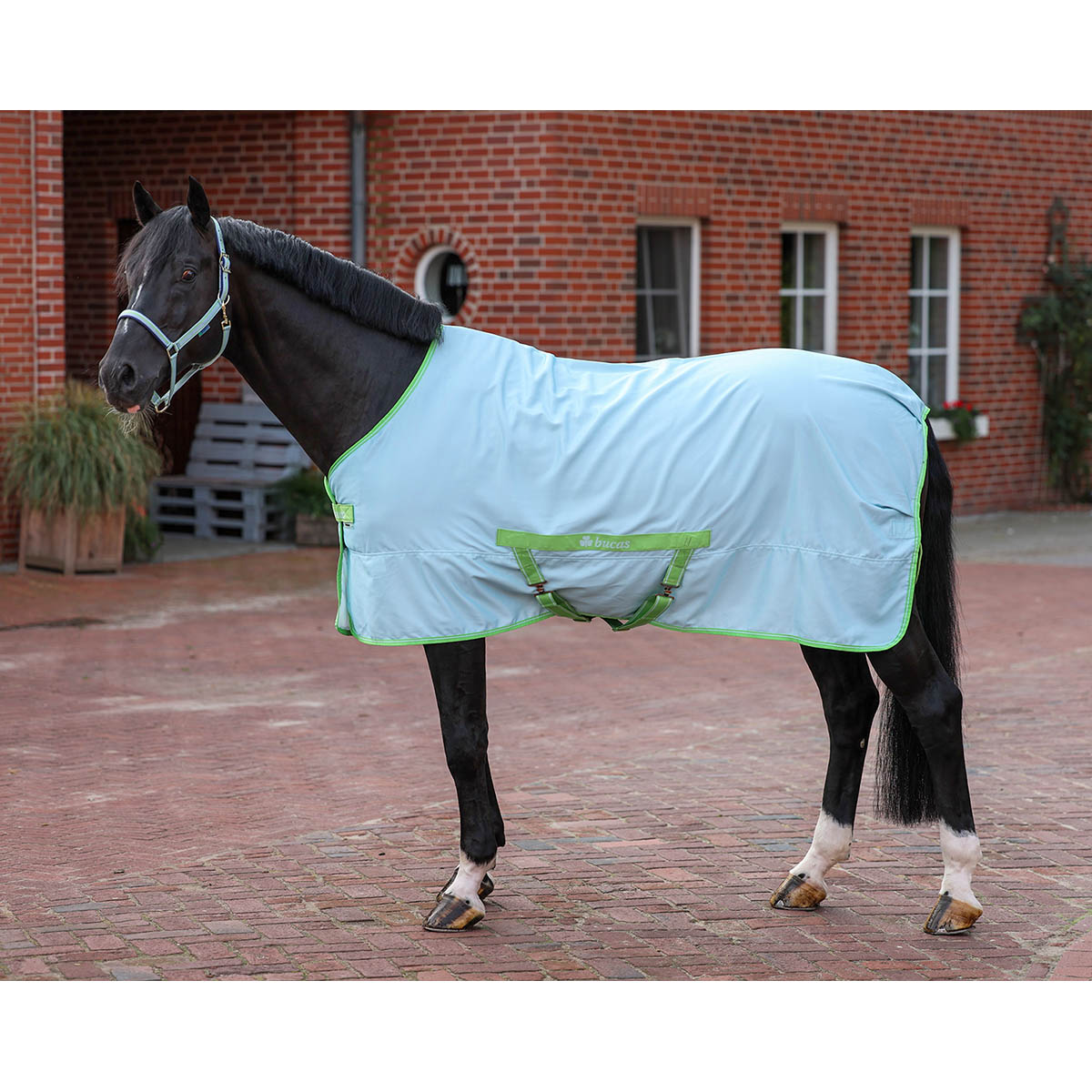 Zomerdeken Bucas Freedom Twill Sheet Lichtblauw, 195 cm in lichtblauw
