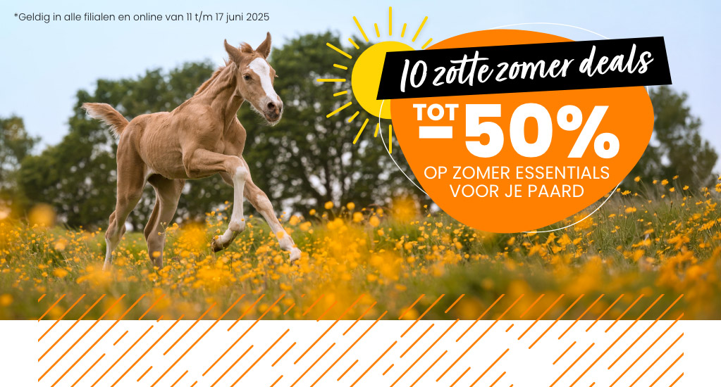 Zotte zomer deals