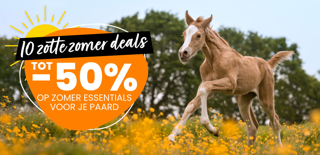 Zotte zomer deals