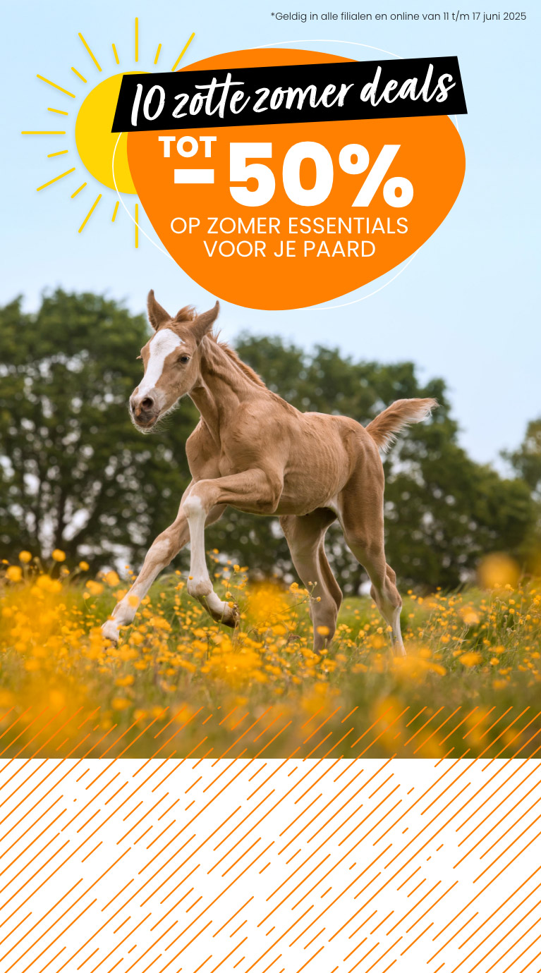 Zotte zomer deals