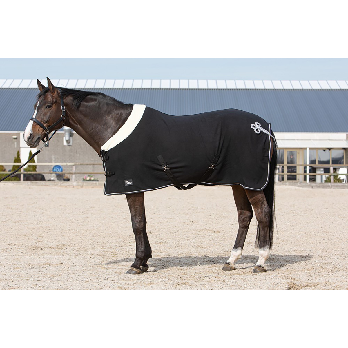 Harry's Horse - Fleecedeken Champion - Zwart - Maat 185
