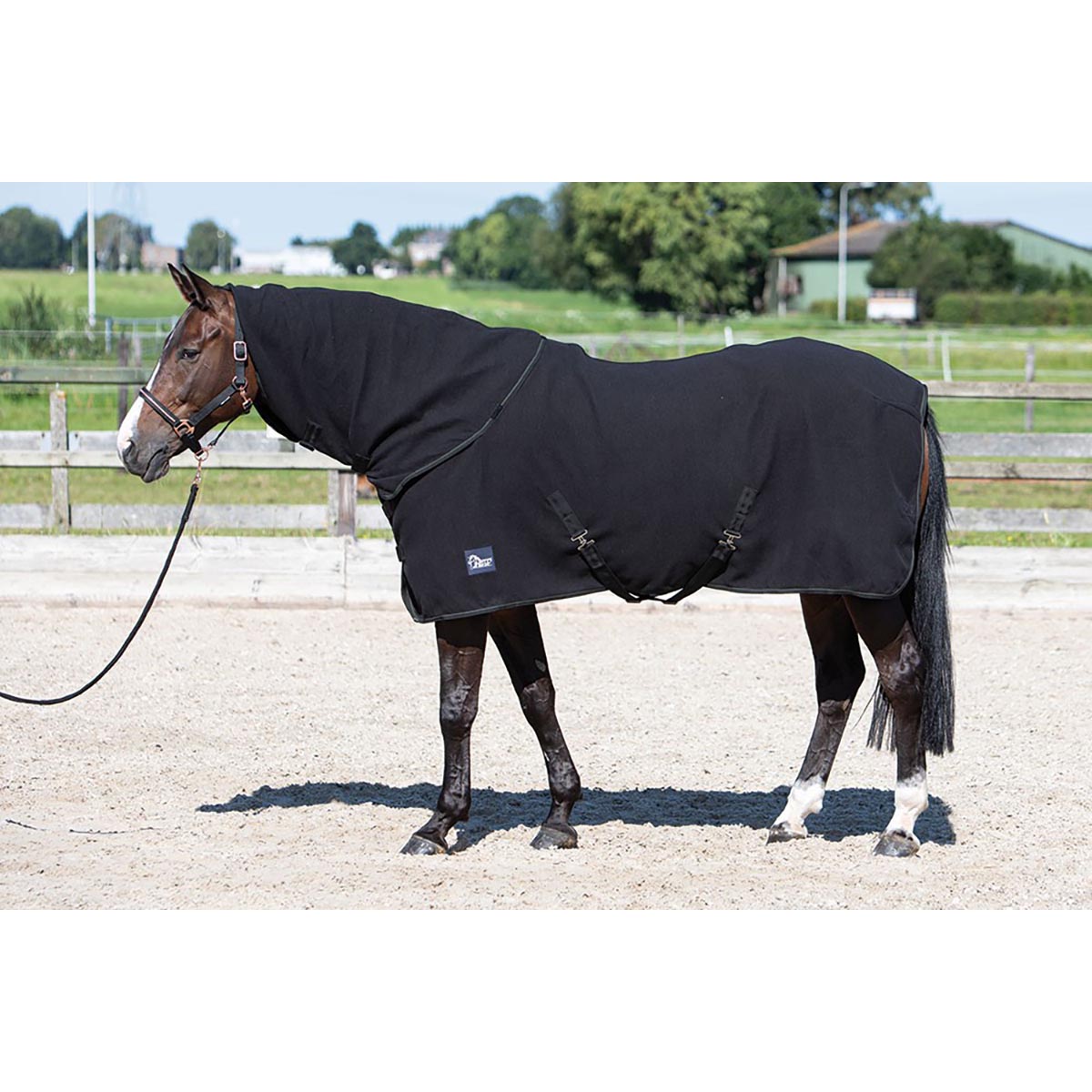 Zweetdeken Harry&apos;s Horse Met Oprolbare Nek Zwart, 215 cm in zwart