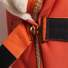 Zweetdeken HORSEGEAR HGLyx Mini Middenoranje
