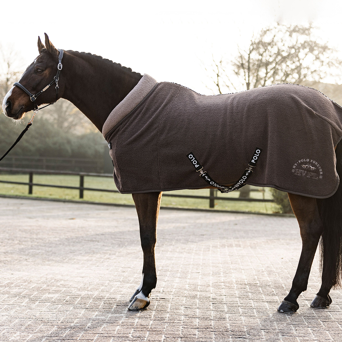 Hv sales polo heren