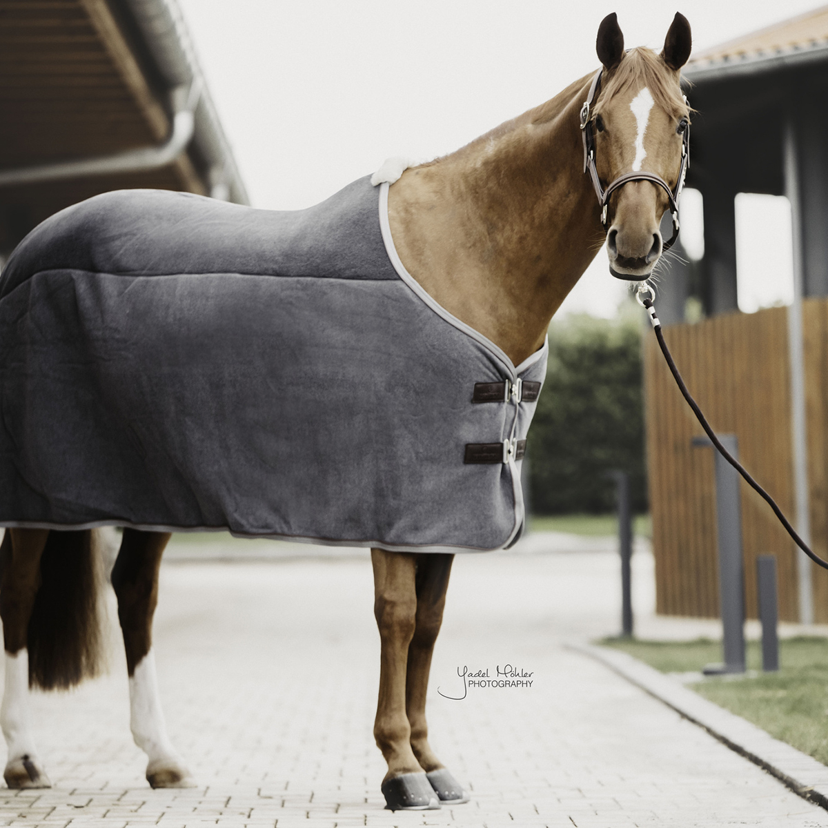 Zweetdeken Kentucky Heavy Fleece Grijs, 160/213 CM in grijs